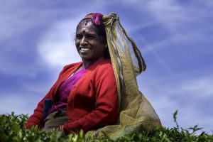 Podcast: The Mahlburgs in Sri Lanka