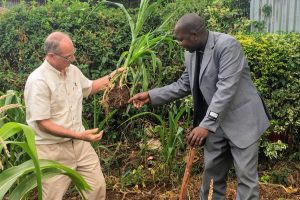 Project: Agricultural Consultancy – East Africa