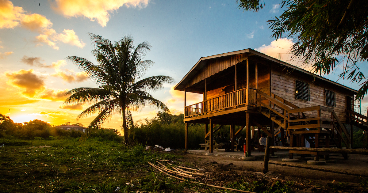 Read more about the article Fresh Beginnings in Belize