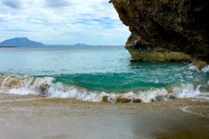 We Welcome the Burakowski Family